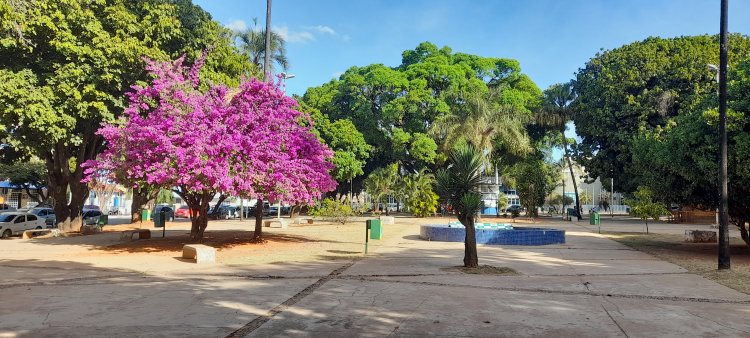 Formosa e o seu potencial político em Goiás