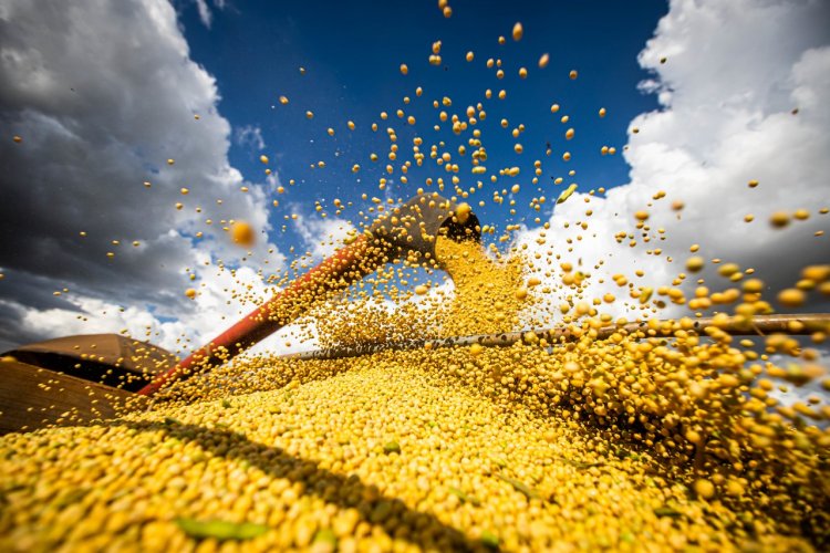 Receita arrecadada pelo Agro foi três vezes maior que a  arrecadação do estado