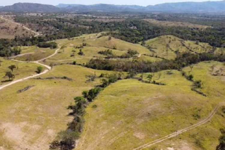 Ibama autua vice-prefeito e assessor de Niquelândia por desmatamento do Cerrado