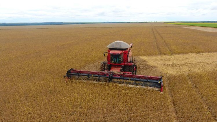 Agricultura e Indústria crescem em Goiás durante pandemia