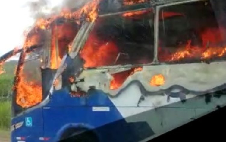 Ônibus com cerca de 23 passageiros pega fogo na rodovia BR-153