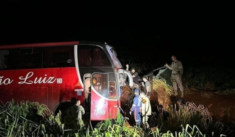 Ônibus da Expresso São Luiz bate em boi na BR-060 e três pessoas ficam feridas