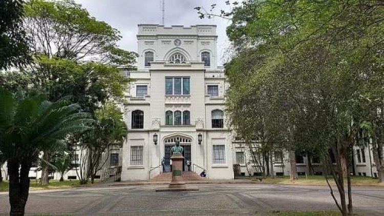 Aluna da USP tenta apostar R$ 891 mil após dinheiro da formatura sumir