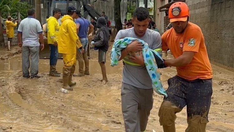 Temporal devastador em SP: 36 mortos, 228 desalojados e 338 desabrigados