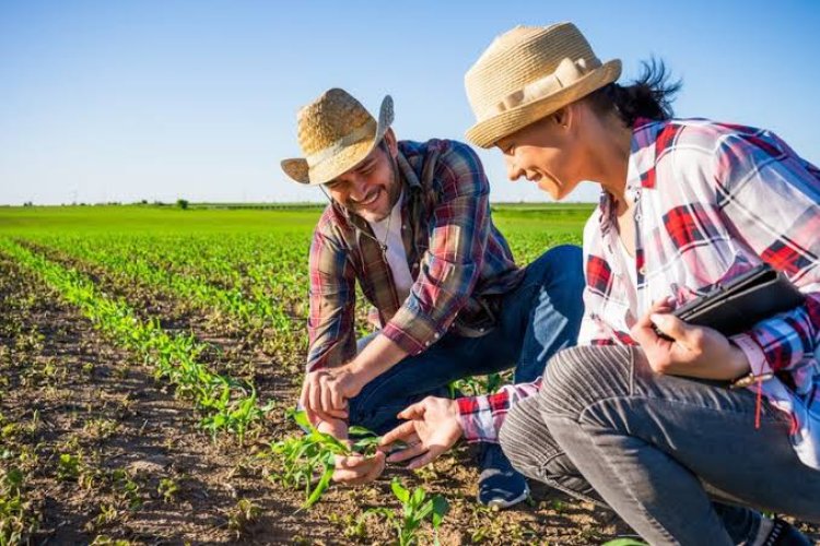 ATENÇÃO Agricultores!!!