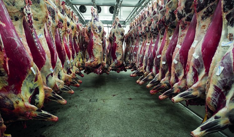 China suspende embargo à carne bovina brasileira