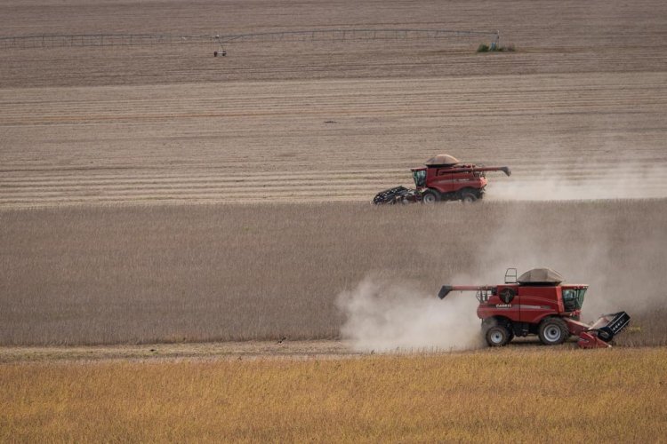 Goiás é o maior gerador de empregos no agronegócio do Centro-Oeste