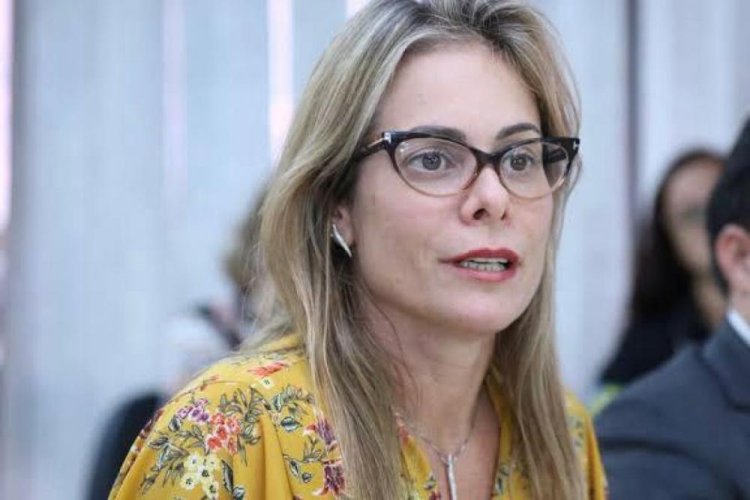 Cristiane Schmidt não é mais a titular da Secretaria da Economia do Estado de Goiás