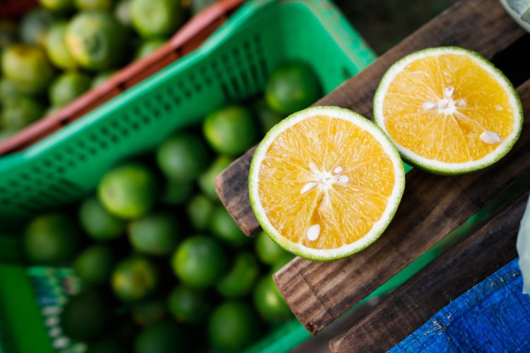 Produção de laranja em Goiás deve bater recorde