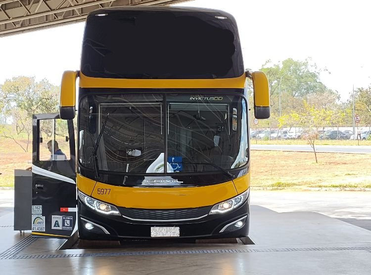 PRF prende mulher que transportava drogas em ônibus interestadual na BR-020