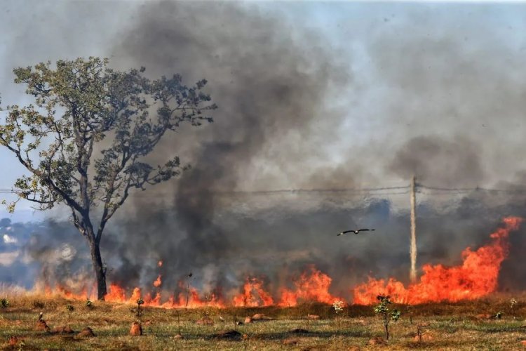 Goiás decreta estado de emergência ambiental para combater incêndios florestais