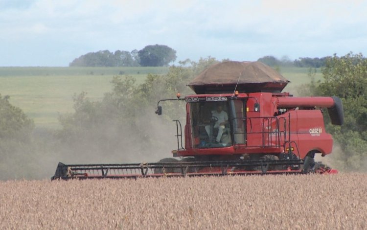 Goiás consolida sua posição como grande produtor agrícola