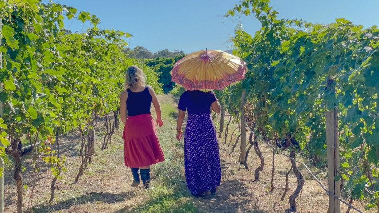 Cachaça e vinho produzidos no Entorno são convite para turista no fim de semana