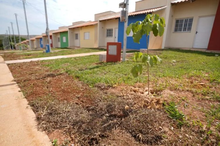 Governo de Goiás abre inscrições de casas a custo zero em Alto Paraíso, Buriti e Pontalina