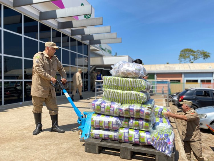 Estado inicia entregas de benefícios da Operação Goiás Alerta e Solidário