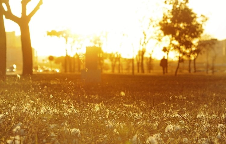 El Niño: pesquisadores preveem mais calor no Centro-Oeste e Sudeste