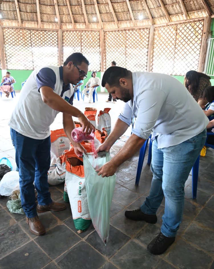 Governo de Goiás distribui 37 toneladas de sementes de milho no Norte e Nordeste do estado