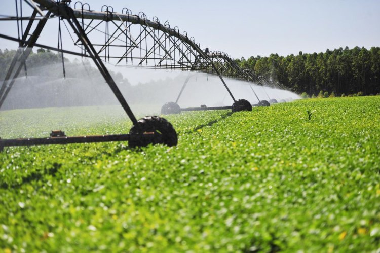 Agronegócio foi responsável por um saldo na balança comercial do Entorno de mais de meio bilhão de dólares