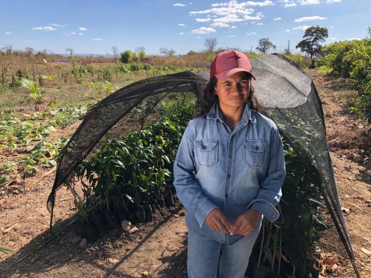 Mulheres são maioria dos beneficiados por programas do Estado para agricultura familiar