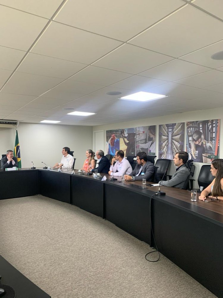 Goiás e DF apresentam demandas de simplificação de comércio de mercadorias de origem animal ao ministério da Agricultura