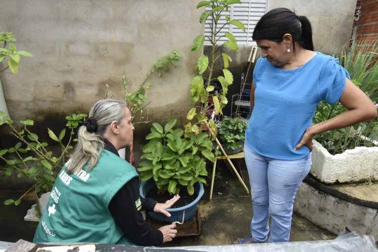 Governo de Goiás alerta para sinais de agravamento de sintomas da dengue