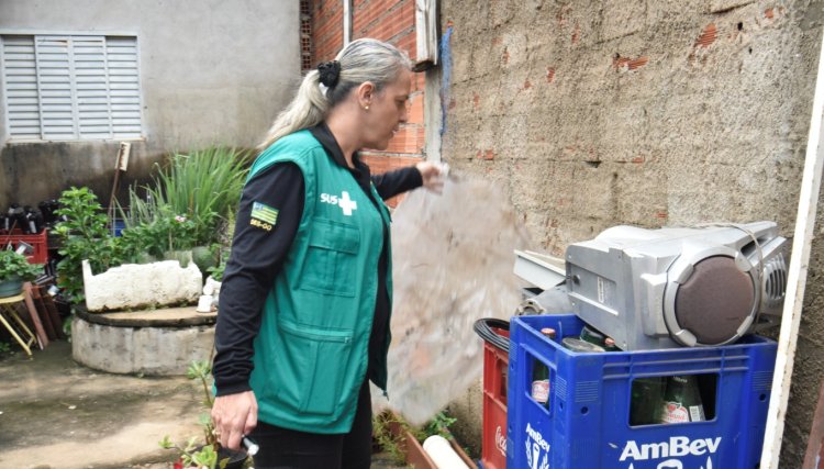 Governo de Goiás alerta para circulação simultânea de dengue e chikungunya