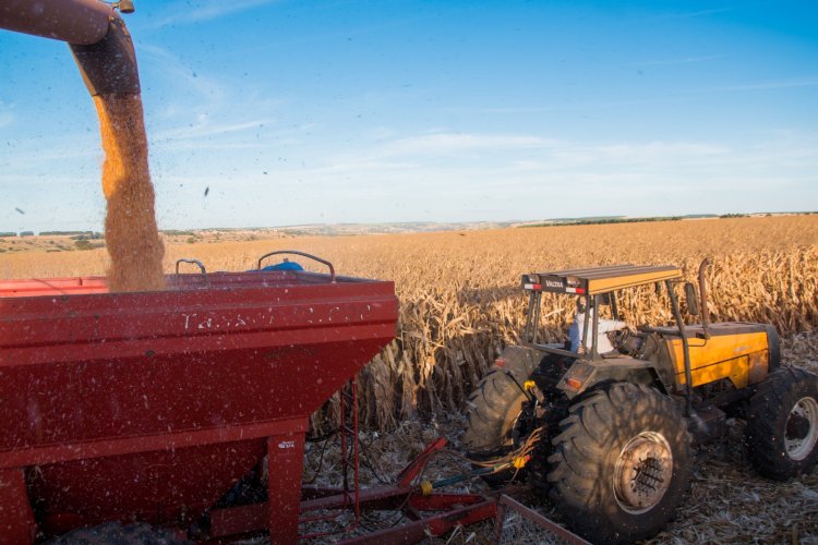 Agronegócio em Goiás emprega mais de 1 milhão de pessoas em 2023