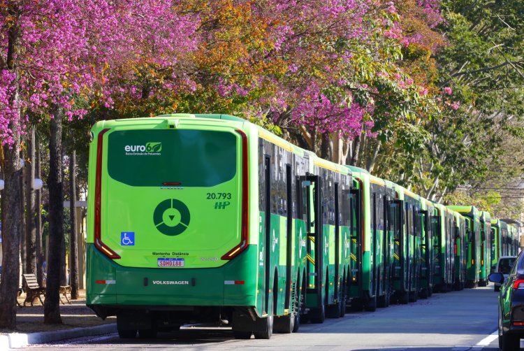 Capital ganhou 60 novos veículos coletivos nesta terça-feira (20/08), sendo 10 elétricos; previsão é entregar mais 1.250 veículos até 2026