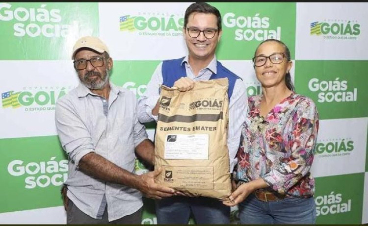 Emater Goiás inicia entrega de sementes de milho para produtores de leite no estado