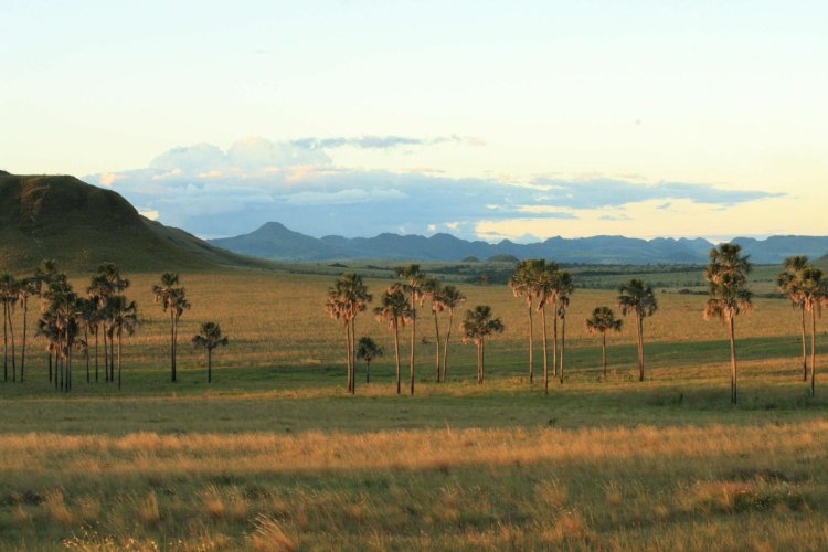 Inscrições para o Inova Cerrado são prorrogadas até dia 15 de setembro