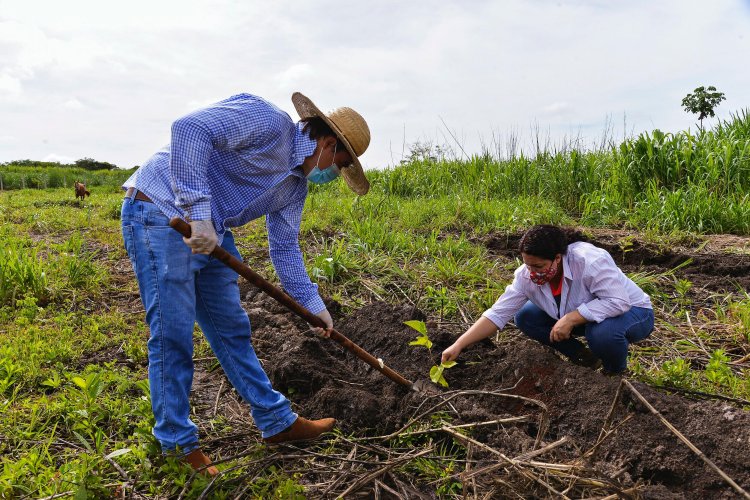 Municípios do Entorno aderem ao projeto "Virada Ambiental"