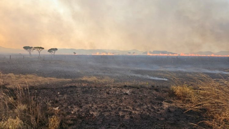 Incêndio de grandes proporções atinge a Chapada dos Veadeiros