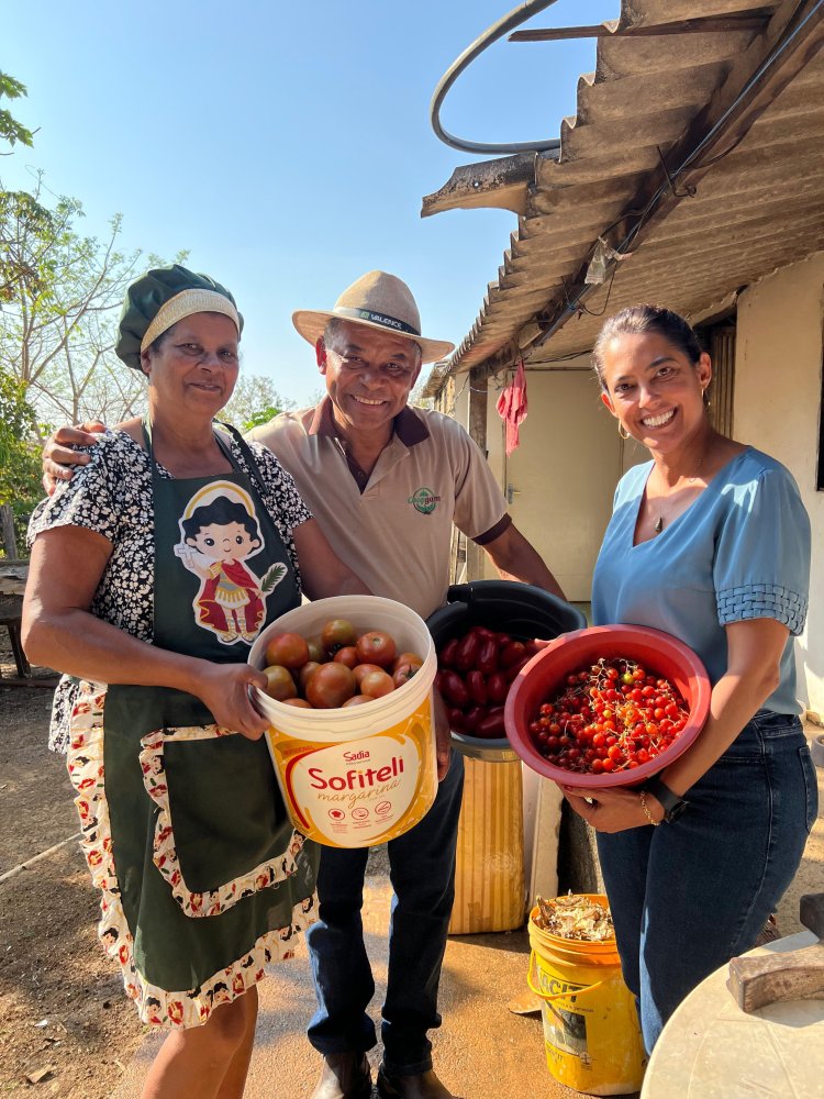 Entorno lidera entregas no Programa de Aquisição de Alimentos Estadual