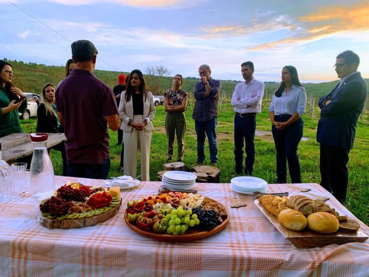 Delegação chilena visita vinhedo em Cocalzinho a convite da Seapa