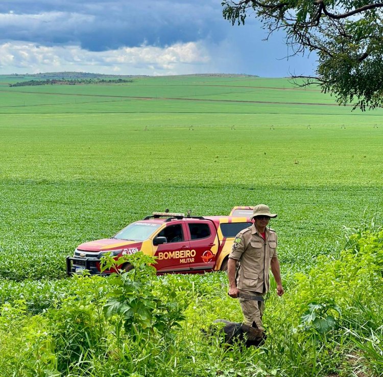 Homem desaparecido é encontrado morto em Alto Paraíso