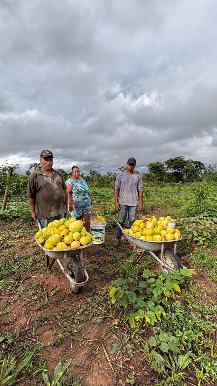 Caiado assina acordo com Senar e Sebrae e garante mais assistência ao Projeto de Fruticultura do Vão do Paranã